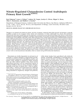 Nitrate-Regulated Glutaredoxins Control