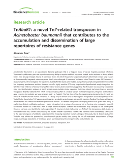 TnAbaR1: a novel Tn7-related transposon in Acinetobacter