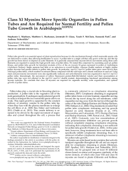 Class XI Myosins Move Speciic Organelles in