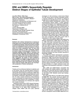 O`Brien - the o`brien lab