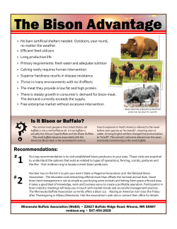 The Bison Advantage - Minnesota Buffalo Association
