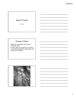 Algae_Protists PPT