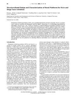 Structure-Based Design and Characterization of Novel Platforms for