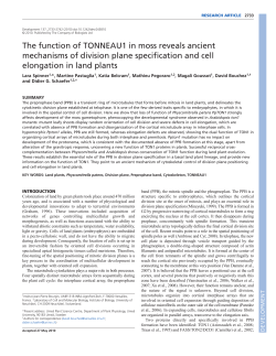 The function of TONNEAU1 in moss reveals ancient