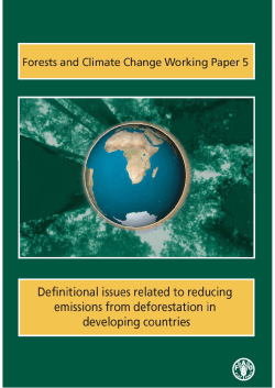 Definitional issues related to reducing emissions from deforestation