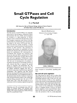 Small GTPases and Cell Cycle Regulation