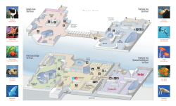 Splash Zone 2nd Floor The Ocean`s Edge 1st Floor The Open Sea