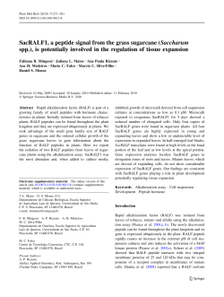 SacRALF1, a peptide signal from the grass sugarcane (Saccharum