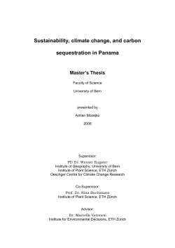 Sustainability, climate change, and carbon sequestration in Panama
