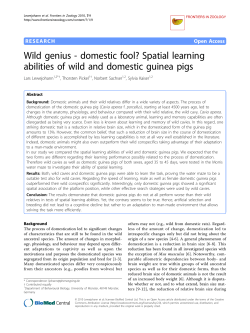Wild genius - domestic fool? Spatial learning abilities of wild and