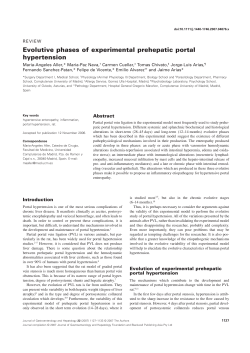 Evolutive phases of experimental prehepatic portal hypertension