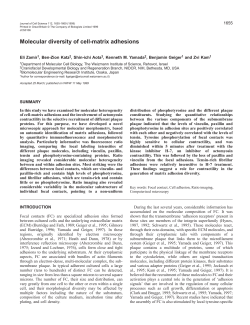 Diversity of cell-matrix adhesions