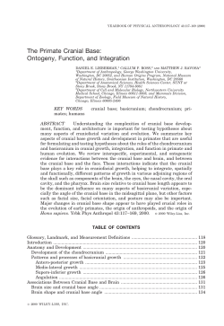The Primate Cranial Base: Ontogeny, Function