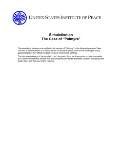 Simulation on The Case of &ldquo;Palmyra&rdquo;