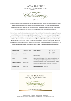 Craighall Vineyard lies directly opposite the Ata Rangi home block