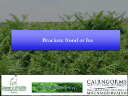 Bracken: frond or foe - Cairngorms National Park Authority