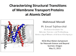 Characterizing Structural Transitions of Membrane Transport