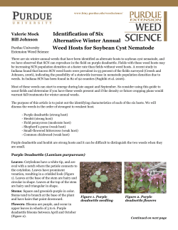 Identification of Six Alternative Winter Annual Weed Hosts for