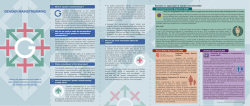 Examples on application of &ldquo;gender mainstreaming&rdquo;
