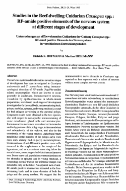 Studies in the Reef-dwelling Cnidarian Cassiopea spp.