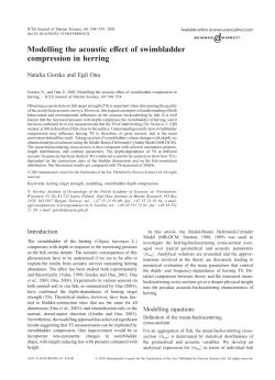 Modelling the acoustic effect of swimbladder compression in herring