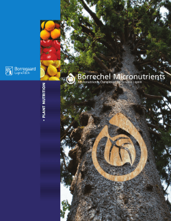 Borrechel Micronutrients
