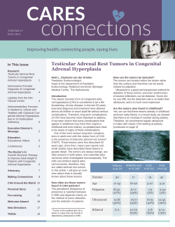 Fall 2014 - Cares Foundation