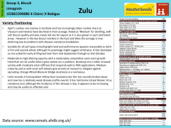 Zulu PDF