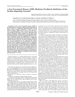 c-Jun N-terminal Kinase (JNK) Mediates Feedback Inhibition of the