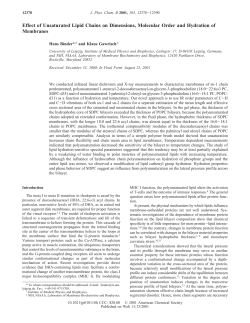 Effect of Unsaturated Lipid Chains on