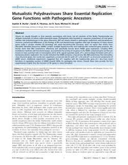 Mutualistic Polydnaviruses Share Essential Replication Gene