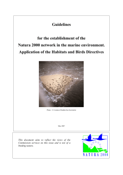 Guidelines for the establishment of the Natura 2000 network in the