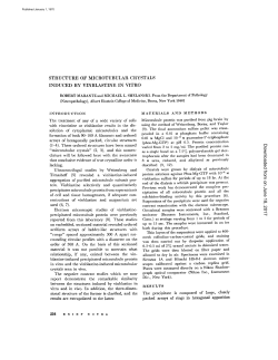 STRUCTURE OF MICROTUBULAR CRYSTALS INDUCED BY