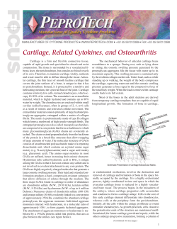 Cartilage, Related Cytokines, and Osteoarthritis
