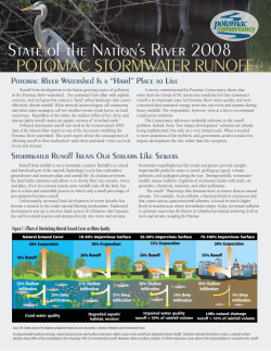 2008 State of the Potomac River