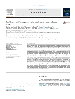Inhibition of ABC transport proteins by oil sands process affected water