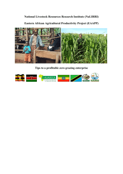 Tips To a Profitable Zero Grazing Enterprise