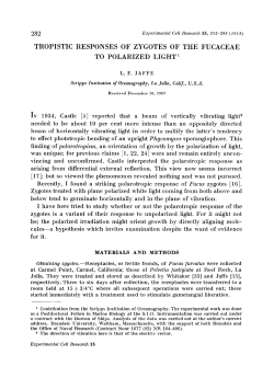 282 TROPISTIC RESPONSES OF ZYGOTES OF THE FUCACEAE