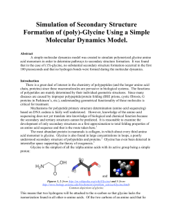 Simulation of Secondary Structure Formation of (poly)
