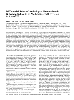 Differential Roles of Arabidopsis Heterotrimeric G