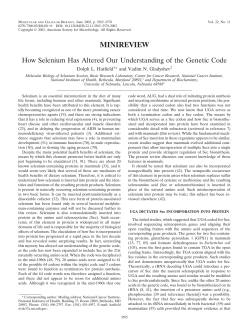 How Selenium Has Altered Our Understanding of the Genetic Code