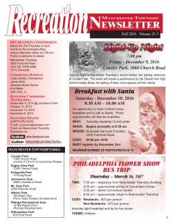 Light-Up Night - Manchester Township