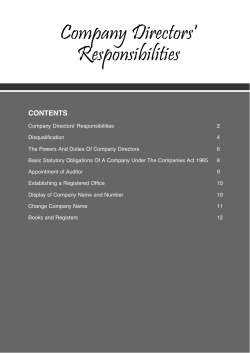 Company Directors` Responsibilities