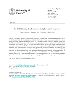 The SLC34 family of sodium-dependent phosphate transporters