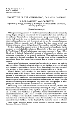 excretion in the cephalopod, octopus dofleini