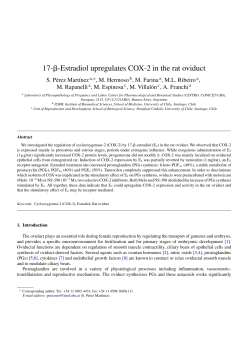 17-&szlig;-Estradiol upregulates COX-2 in the rat oviduct
