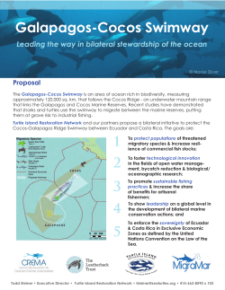 Galapagos-Cocos Swimway - Turtle Island Restoration Network