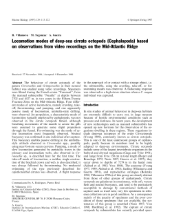 Locomotion modes of deep-sea cirrate octopods (Cephalopoda