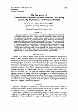 The Disruption of Lysosome-like Particles of Solanurn