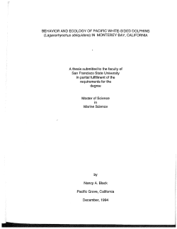 BEHAVIOR AND ECOLOGY OF PACIFIC WHITE
